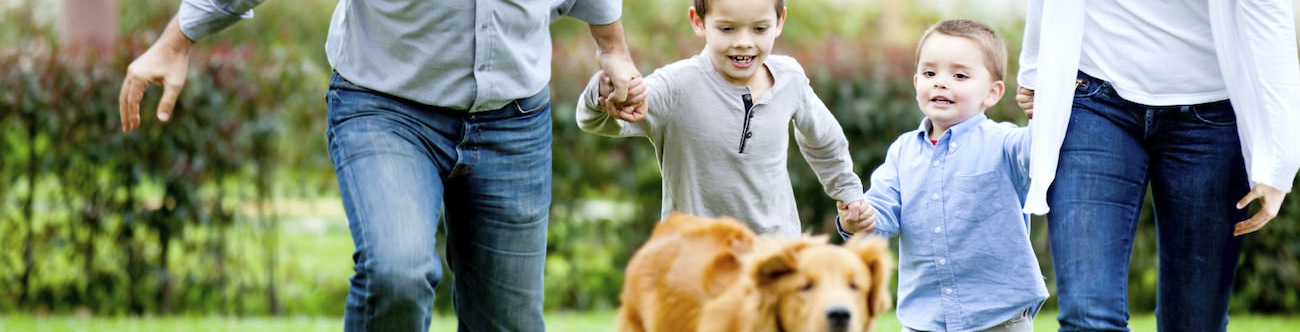 Family running together in yard with golden retriever dog